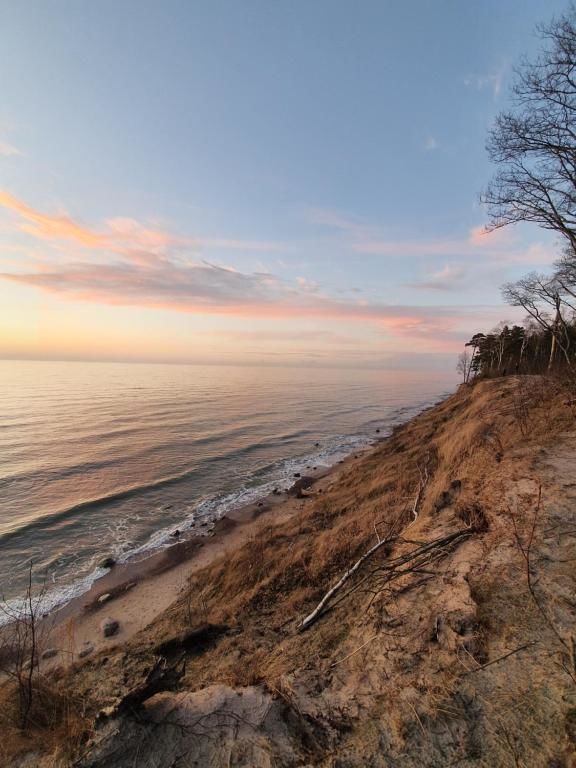 Апартаменты Vanagupė Palanga Паланга